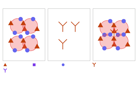Blood groups: Give a donor's blood to a recipient and see whether antibodies meet their antigens, follow an Rh-ve mother through two Rh+ve pregnancies, and cross the parents' Iᴬ, Iᴮ and i alleles to see their children's groups.