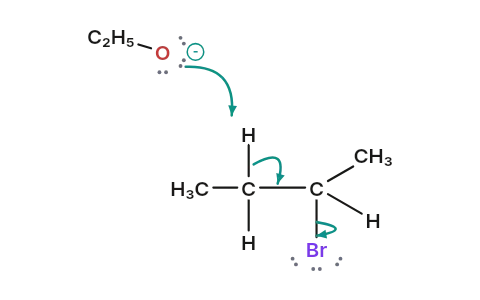 E2 elimination: Base grabs a proton while the leaving group departs, all in one step, forming a double bond.