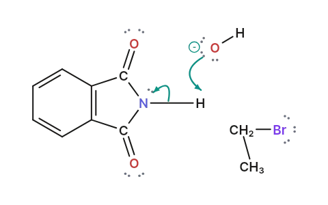 Gabriel phthalimide synthesis: Phthalimide's anion takes one alkyl group by SN2, then hydrolysis sets a pure primary amine free.