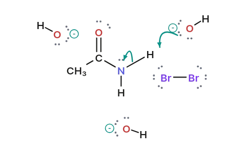 Hofmann bromamide degradation: The alkyl group moves from carbon to nitrogen, and the amide loses one carbon as CO₂.