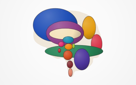 Human brain: Turn a 3-D brain and cut it down the middle: cerebrum and its lobes, grey and white matter, corpus callosum, thalamus, hypothalamus, midbrain, pons, cerebellum and medulla, each tapped for its role; zoom out to the CNS, PNS and visceral nervous system.