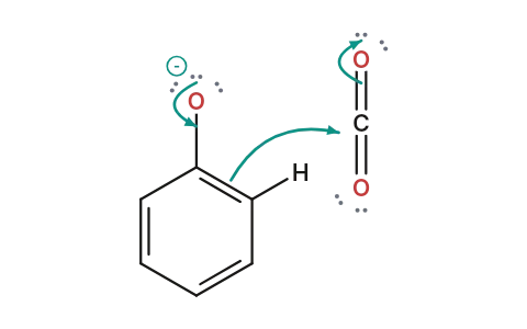 Kolbe's reaction: The phenoxide ring attacks carbon dioxide ortho to the O⁻, and acid turns the salt into salicylic acid.