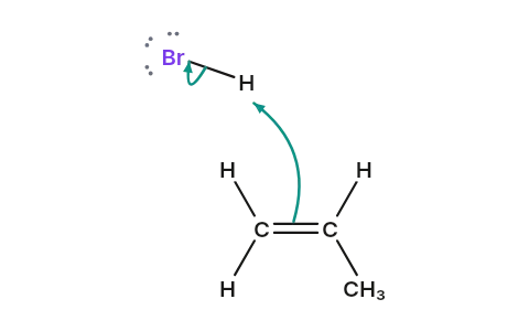 Markovnikov addition: HBr adds across a double bond, and carbocation stability decides which carbon gets what.