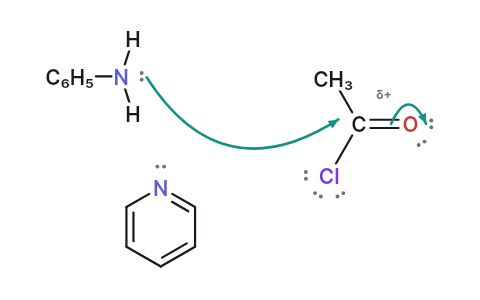 Nucleophilic acyl substitution: Aniline adds to an acid chloride's C=O, then chloride is pushed out to leave acetanilide.